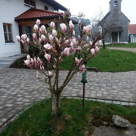 Daire Ferien Im Zuhaeusl